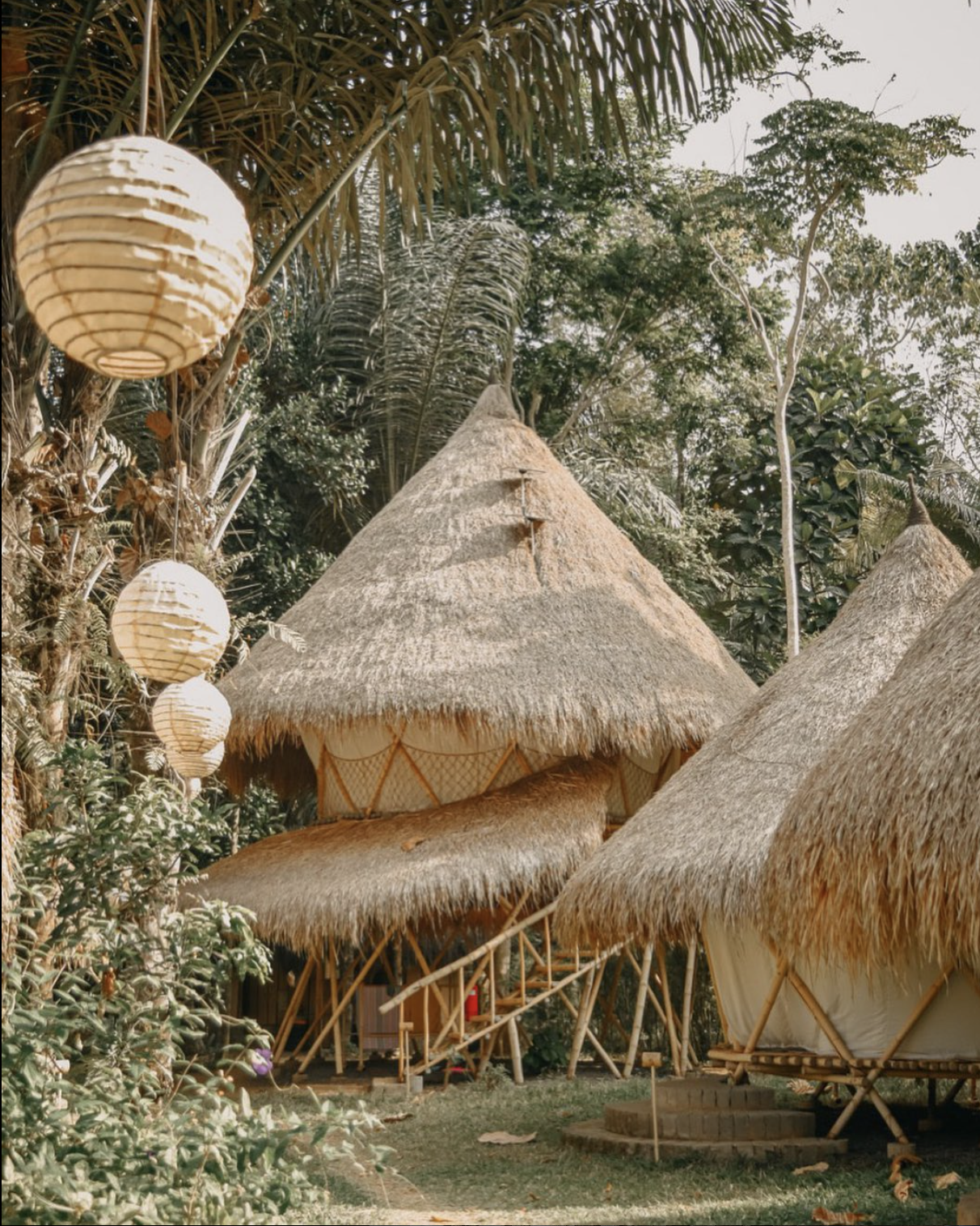 meanwhile, bamboo infrastructure shown in kul kul farm
