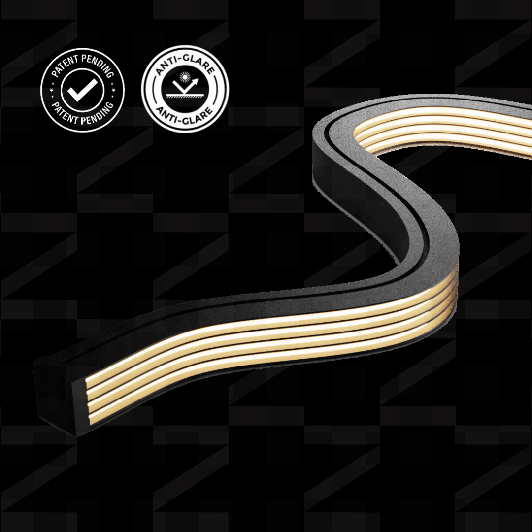 Zeon Fins DTW TV