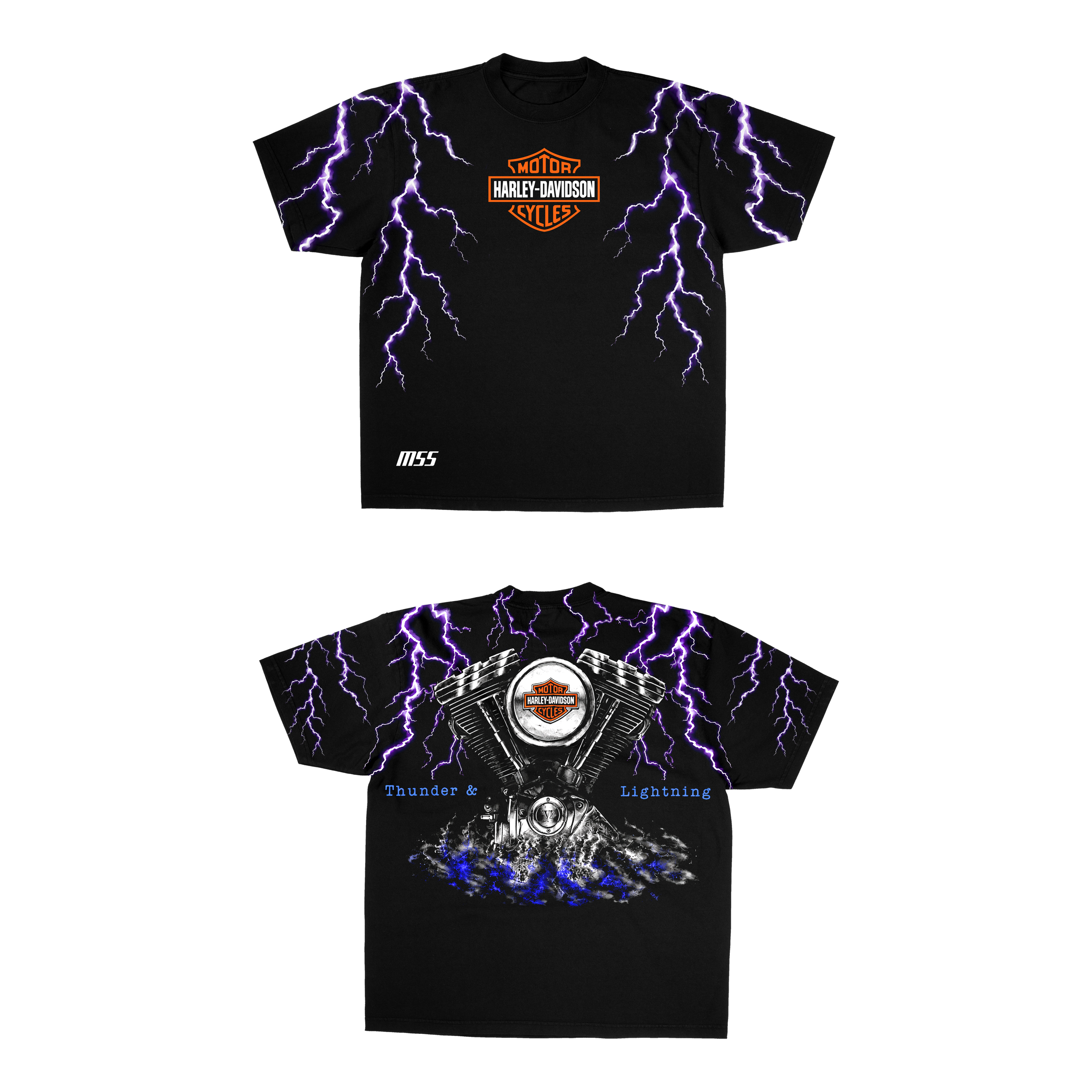 HARLEY DAVIDSON THUNDER & LIGHTNING