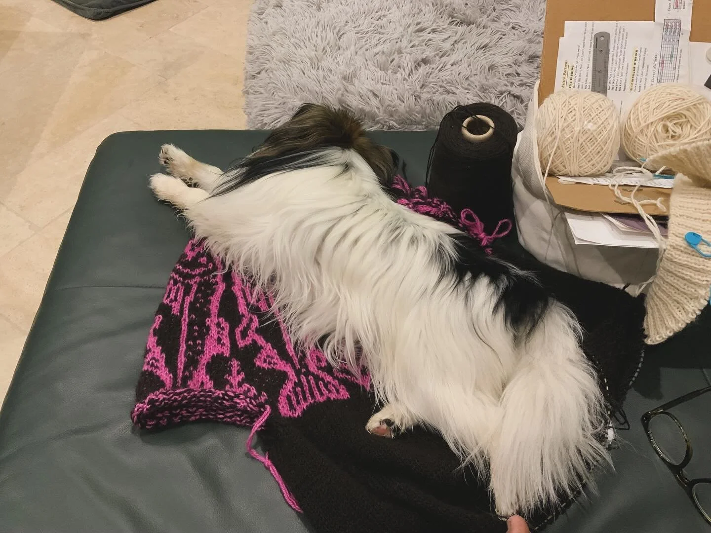 When your dog- cat lays on your knitting- she/ her goes by feline-canine &hellip;&hellip;.. 🐶😹