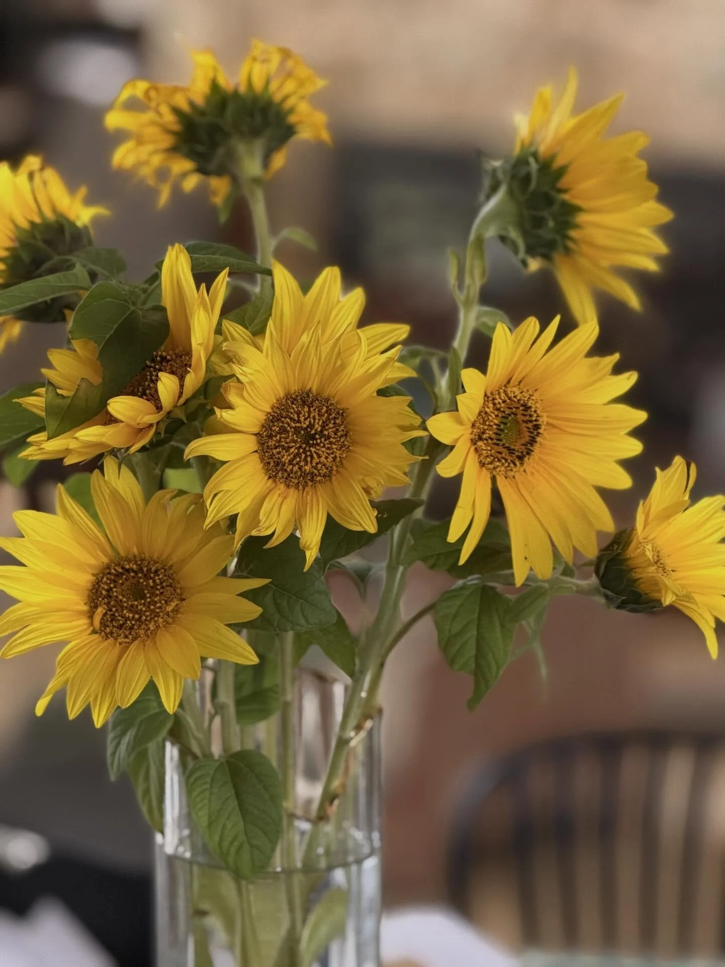 This seasons flowers revealing their glory- and the flax drying nicely in the heat ❤️🤗