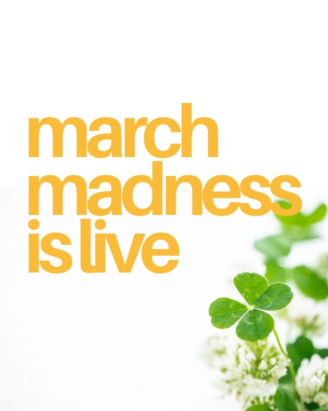 march madness&hellip; but make it parenting.
no brackets. no basketball. just the daily chaos of raising tiny humans.

so we&rsquo;re leaning in.
all month long we&rsquo;re running a few specials to make playtime easier:
&bull; $50 off birthday parti