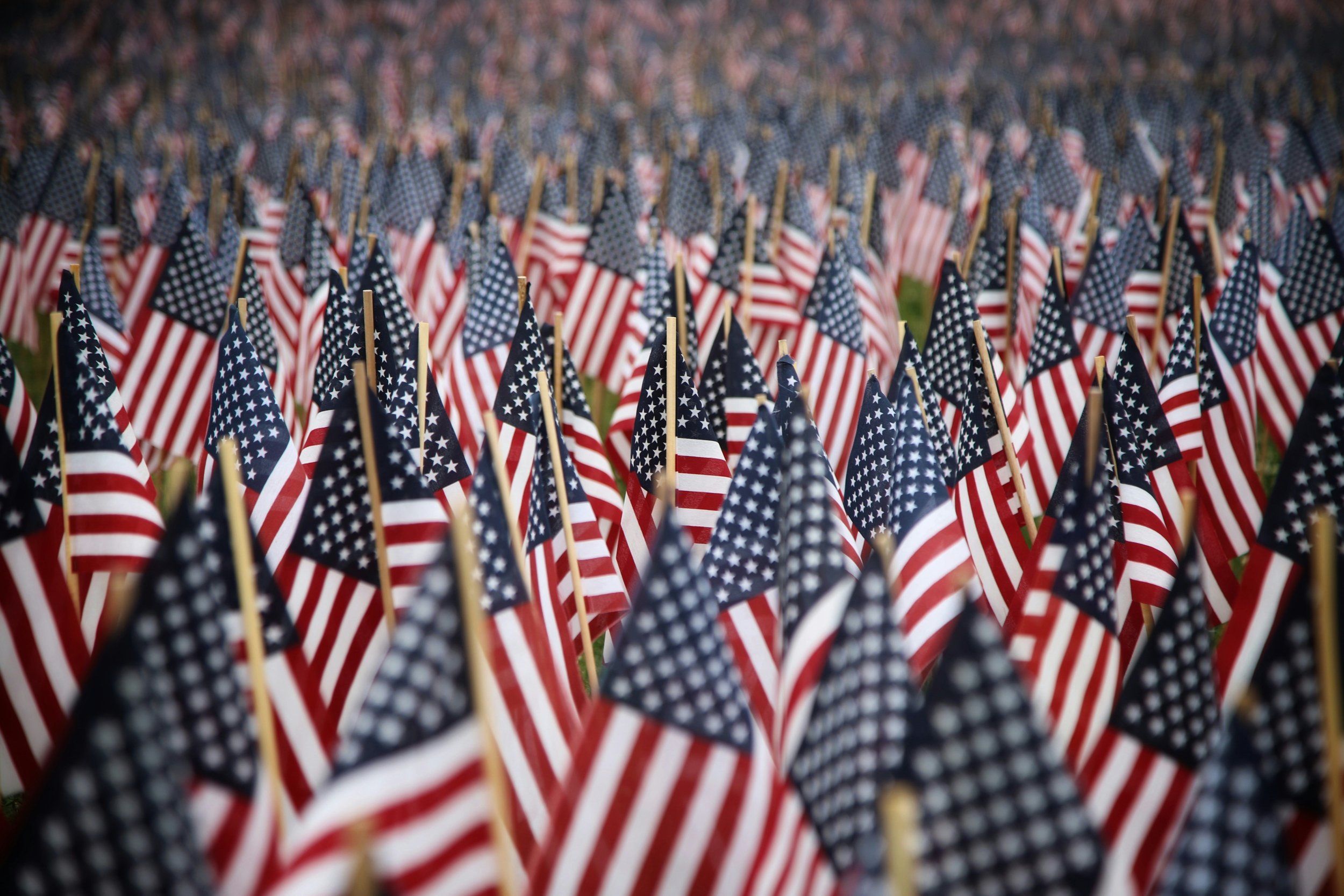 a field full of small american flags
