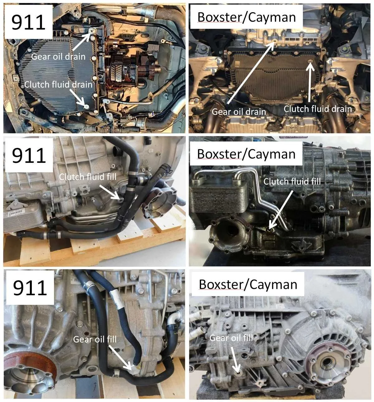 PDK drain and fill plug locations for the 911, Boxster, Cayman