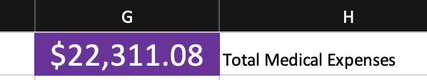 Photo is a screenshot on a spreadsheet that shows Total Medical Expenses equals $22,311.08.