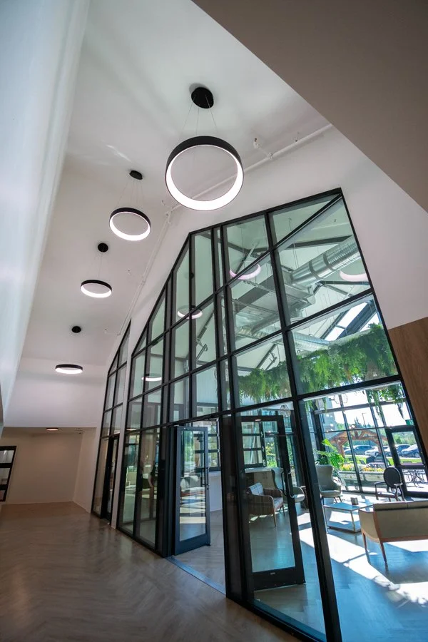 Modern office with floor-to-ceiling glass walls, circular ceiling lights, and large windows allowing natural light, with visible green plants and outdoor parking area.