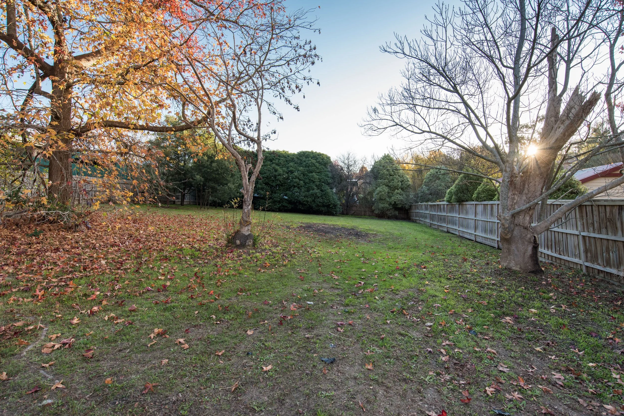 51Adrummond__DSC1261_005.jpg