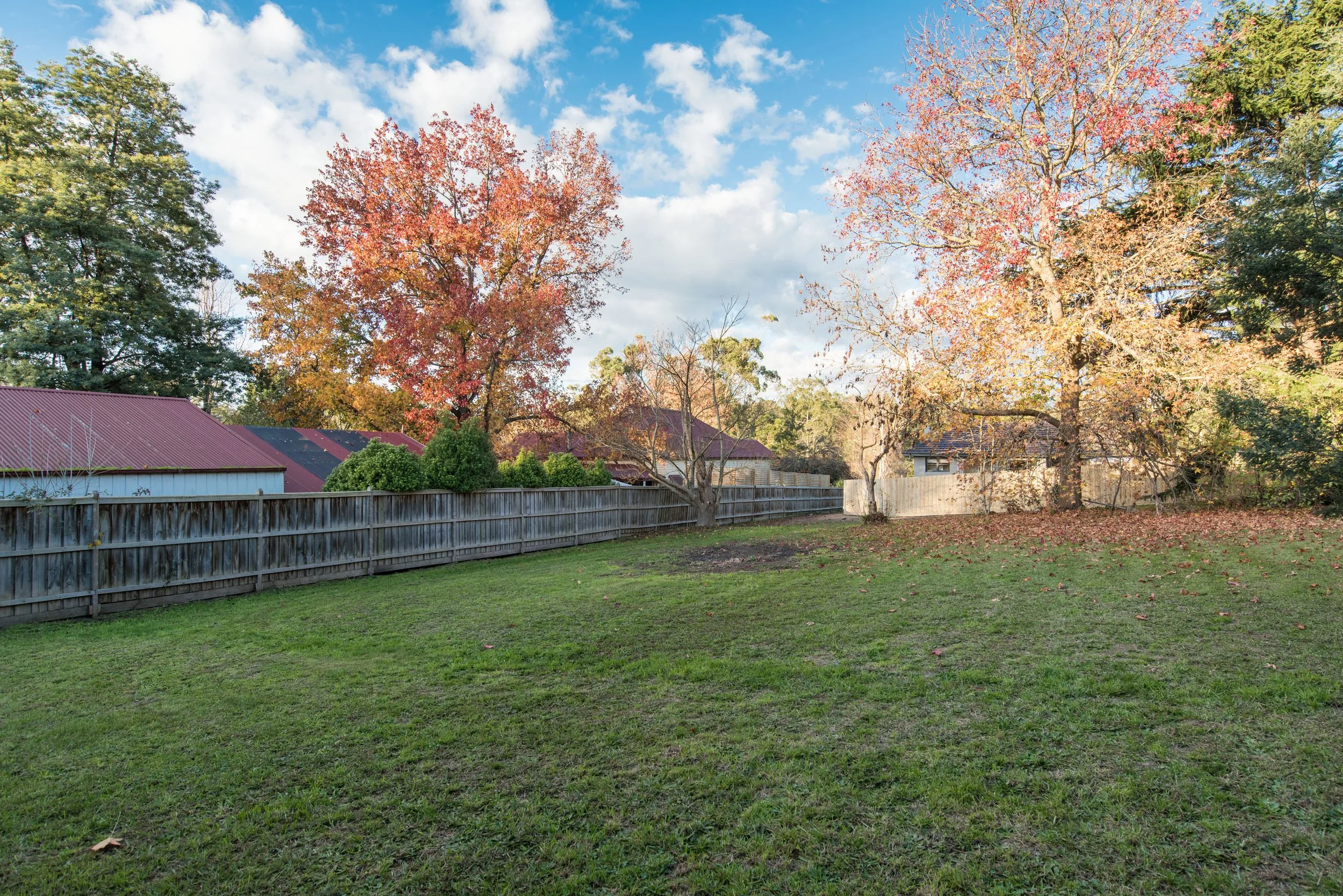51Adrummond__DSC1260_004.jpg