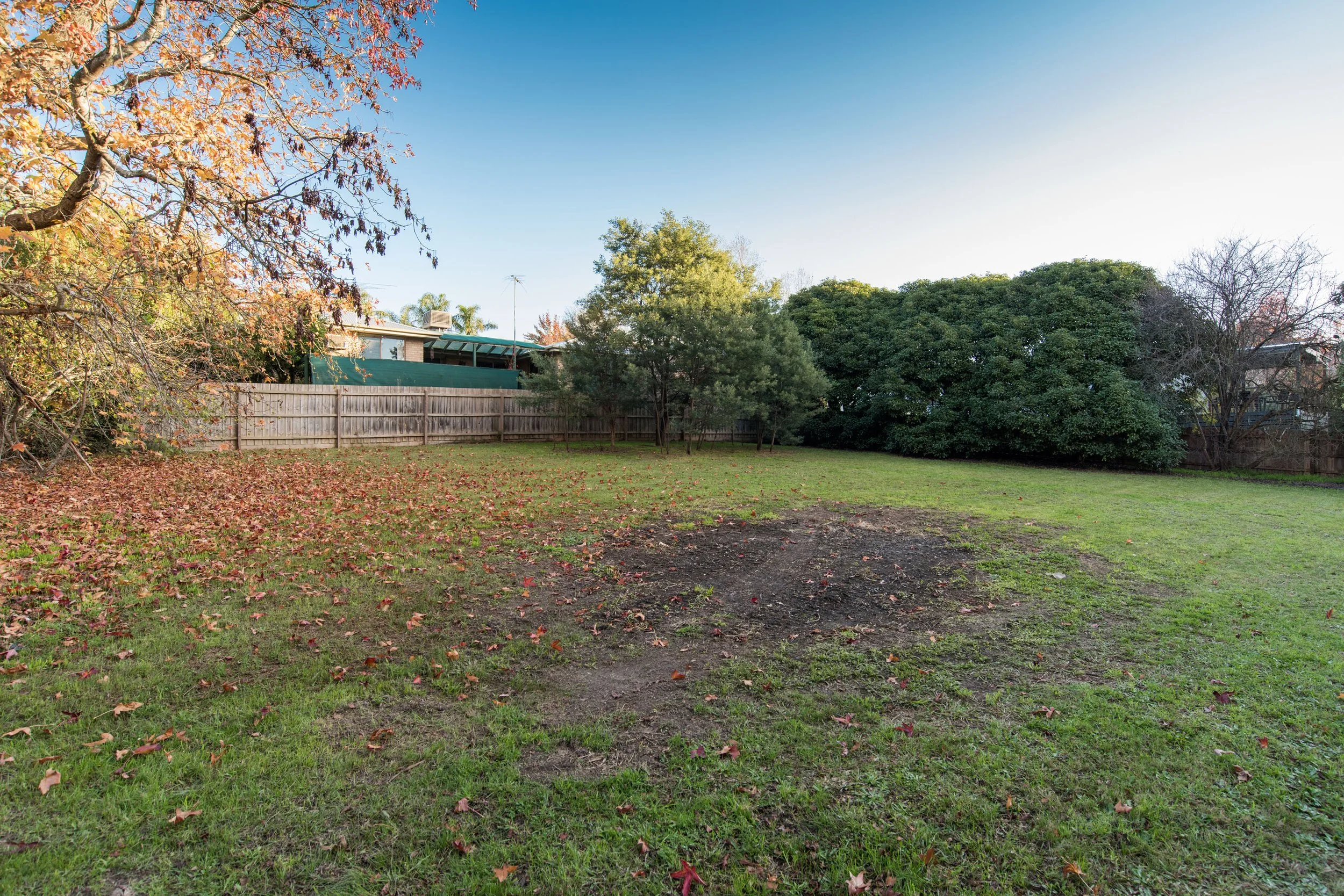 51Adrummond__DSC1257_002.jpg