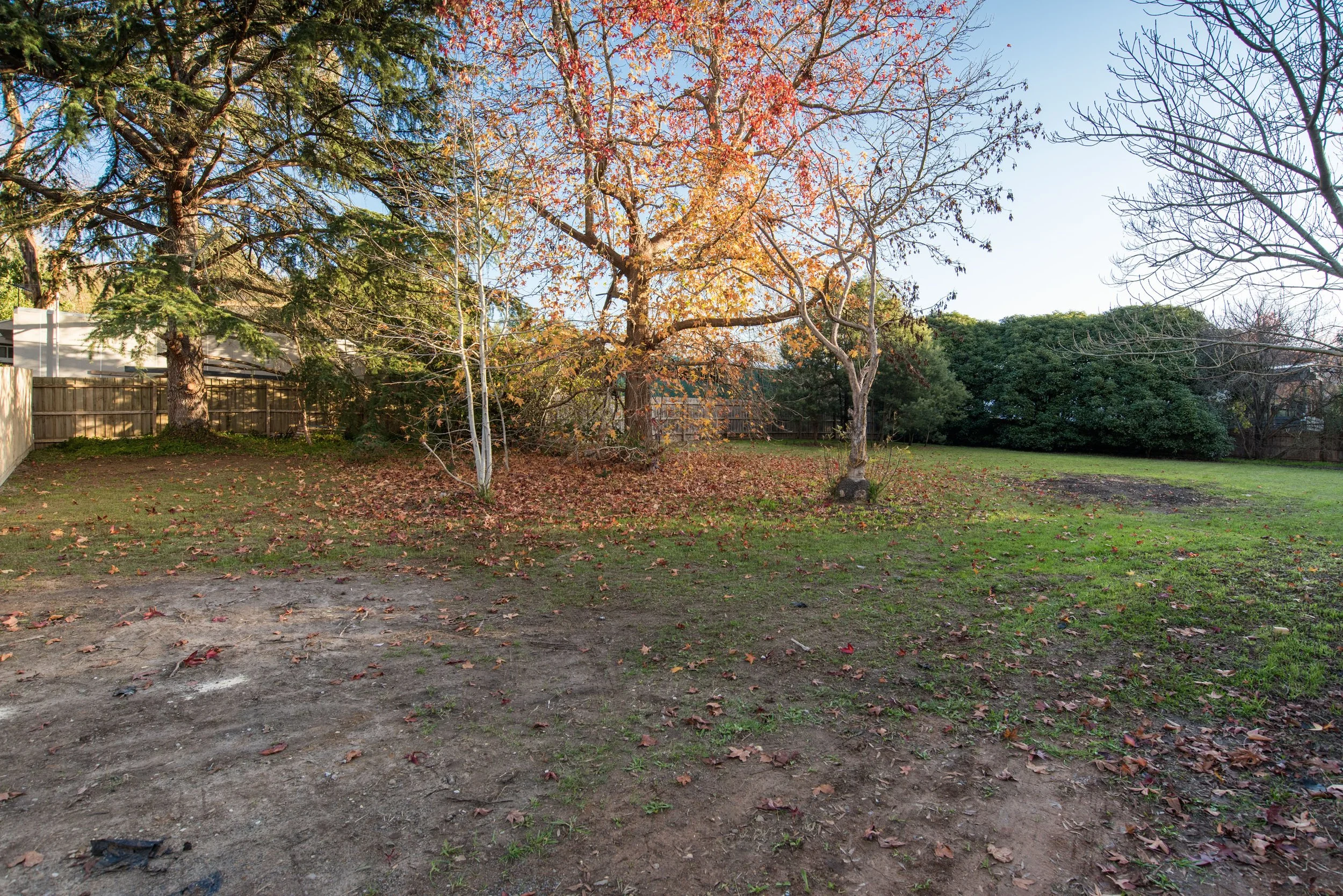 51Adrummond__DSC1256_001.jpg