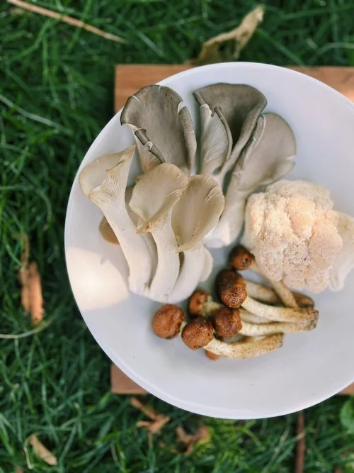 mushroom+mix+1.jpg