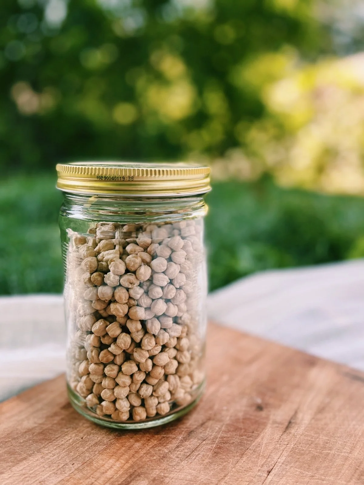 plant protein.jpg