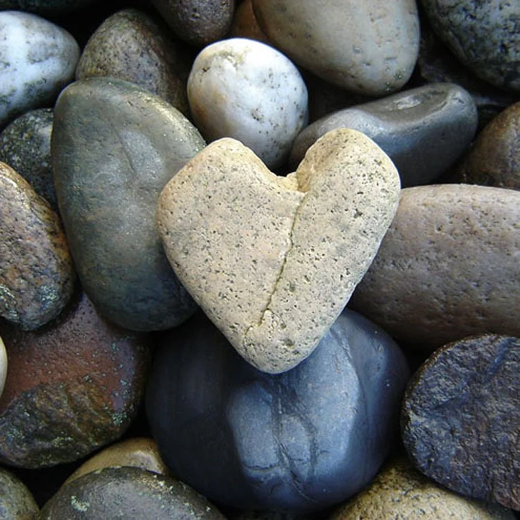 Equilibrio emotivo: come prenderci cura di noi ogni giorno