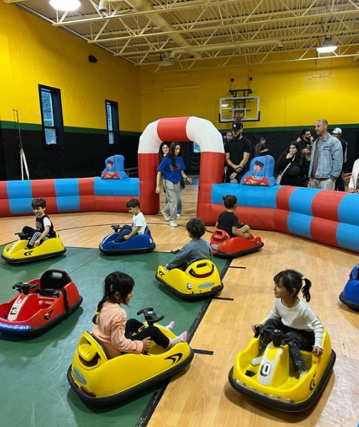 bumper-cars.png
