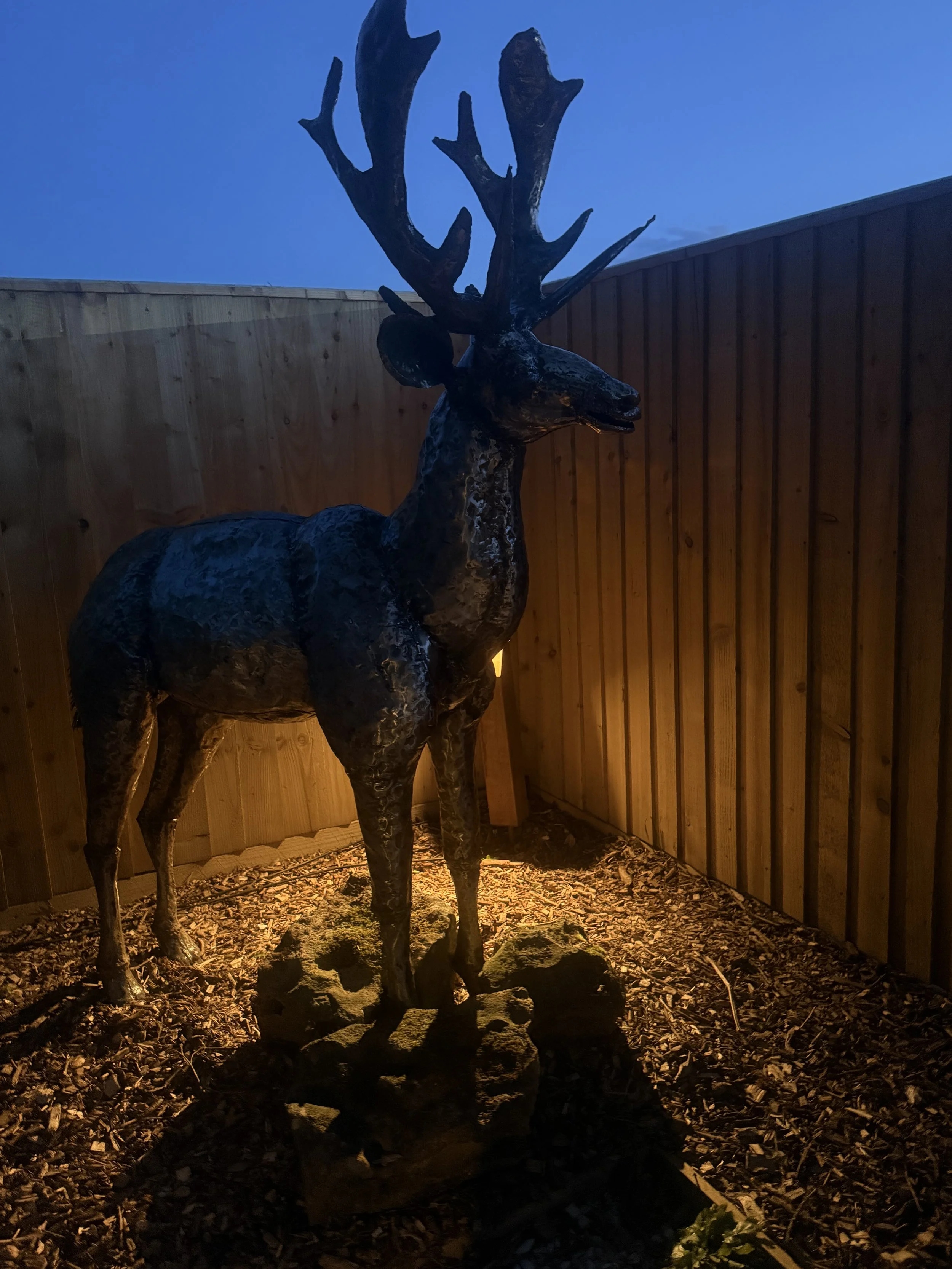 Bronze statue of a stag with large antlers, illuminated from below, placed on rocks inside a fenced outdoor area at dusk.