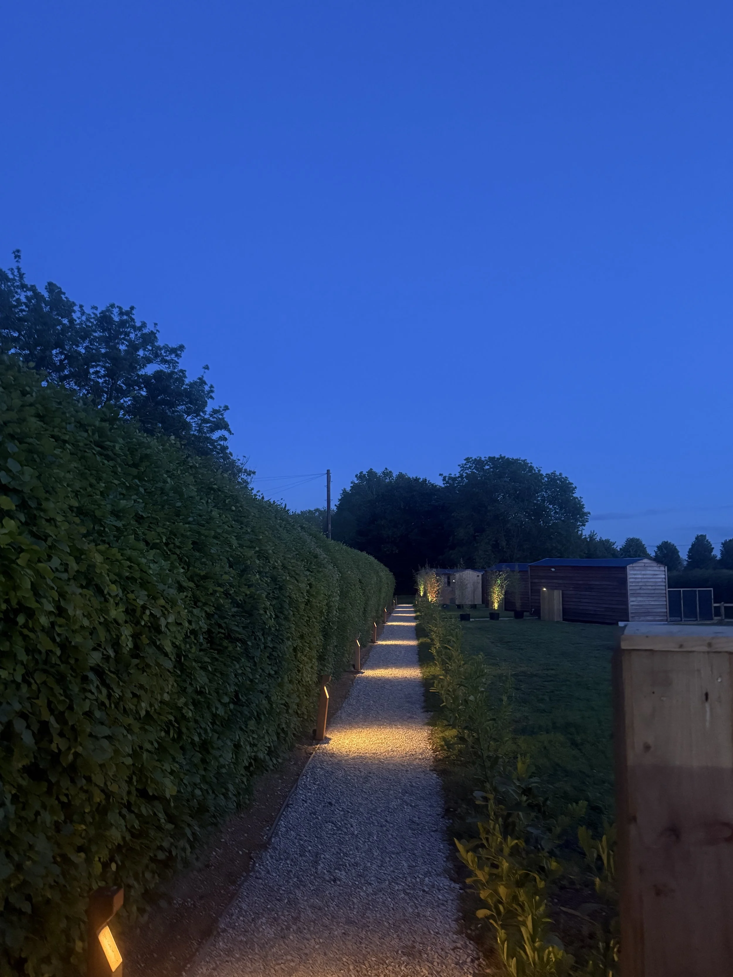 A gravel pathway illuminated by pathway lights runs through a garden with lush green hedges on the left and small plants on the right, with trees and a blue evening sky in the background.