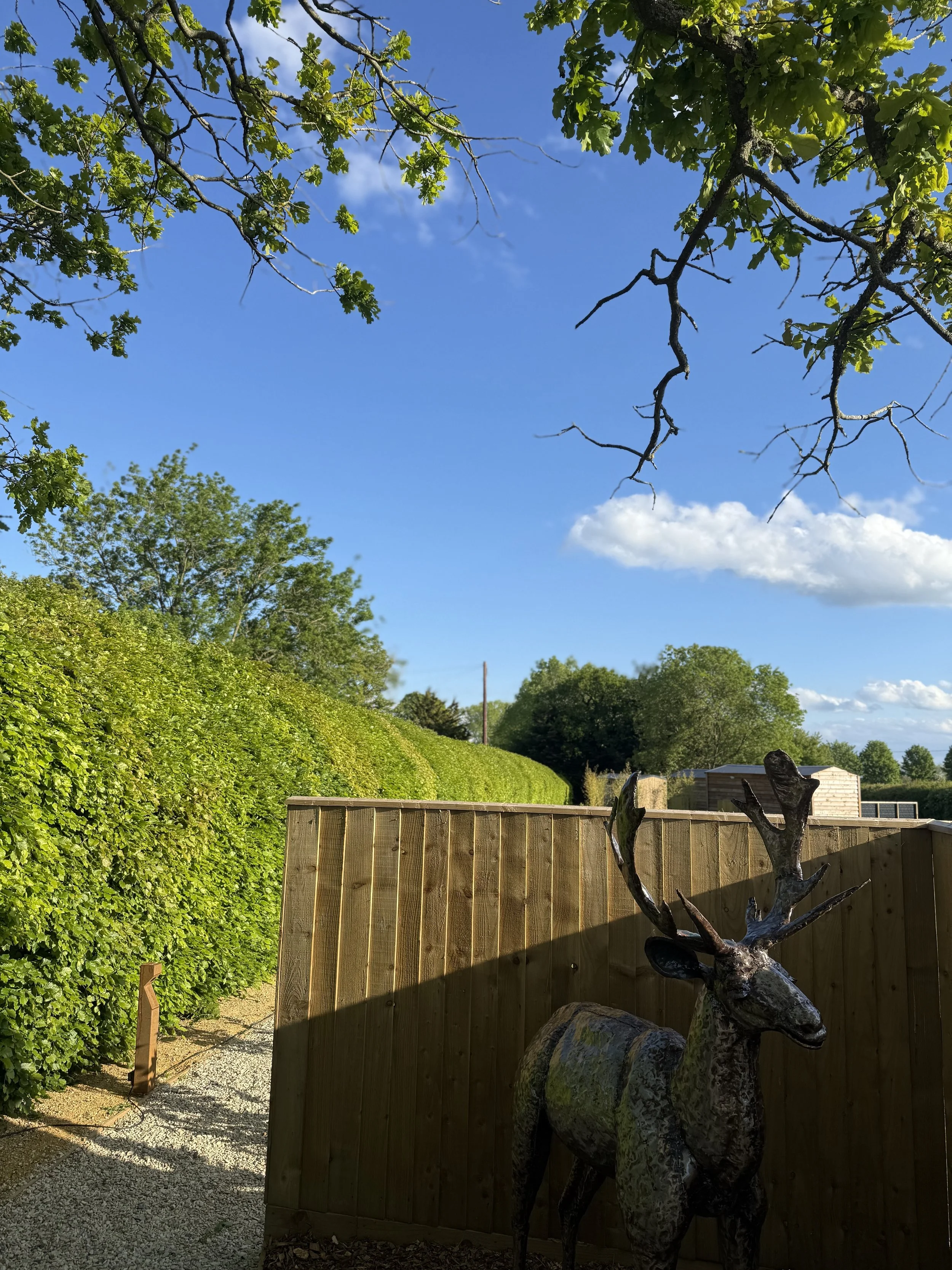 A decorative metal sculpture of a deer with large antlers situated in front of a wooden fence in a backyard, with a bright blue sky, green trees, and clouds in the background.