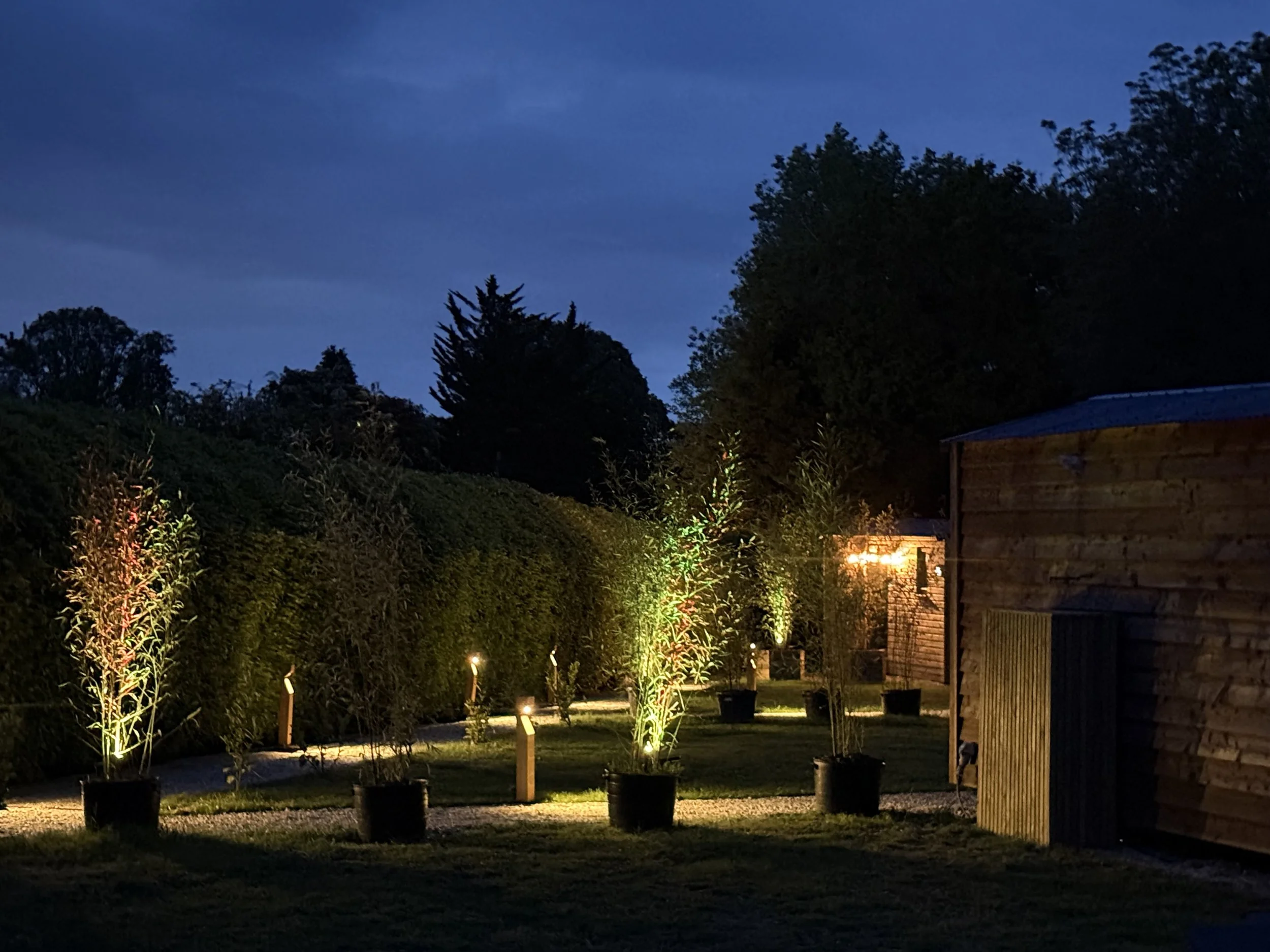 A backyard at night with trees, shrubs, and a wooden shed illuminated by outdoor lighting.