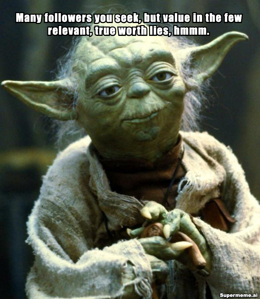 Yoda meme with the text, Many followers you seek, but value in the few relevant, true worth lies, hmmm.