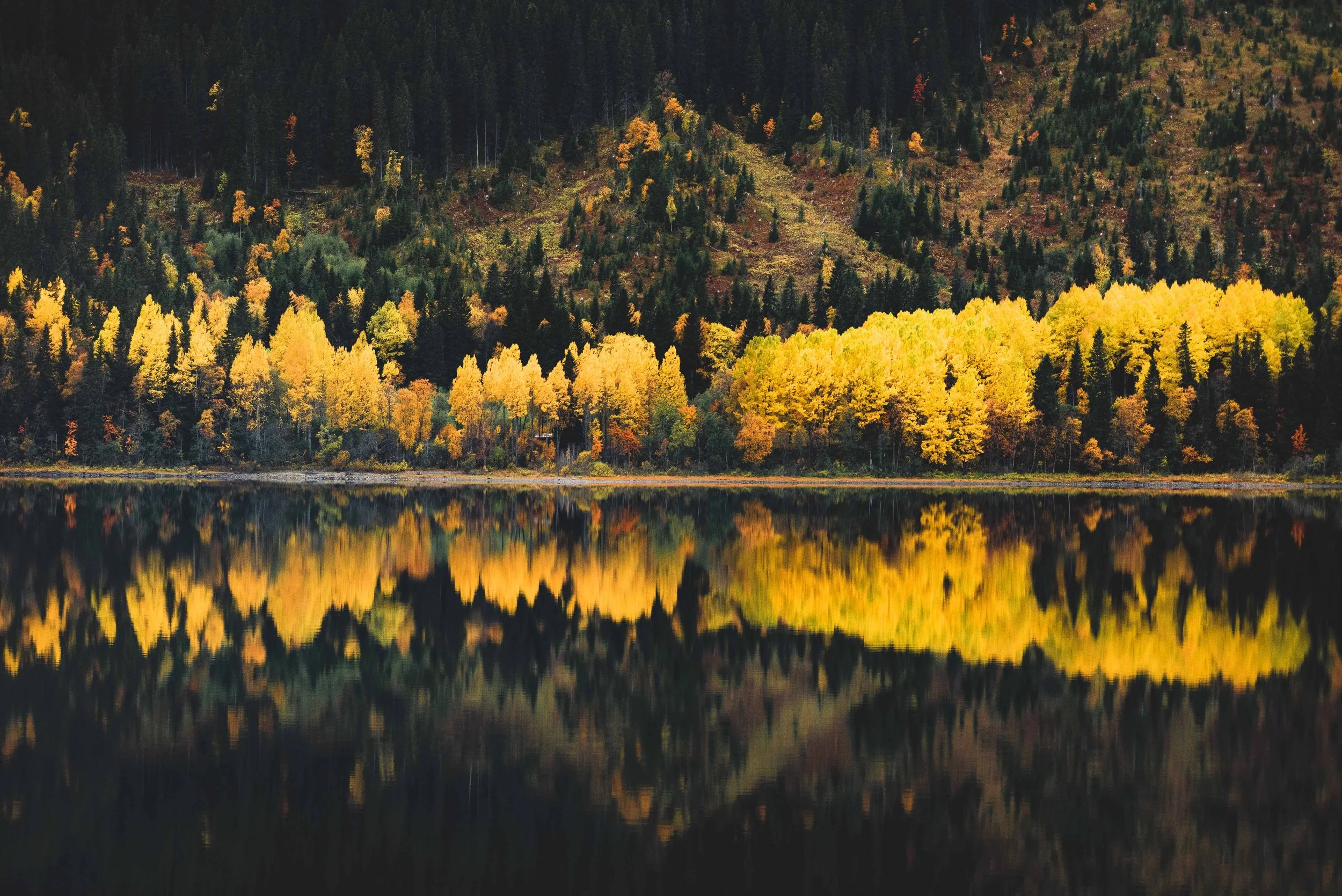 Double yellow