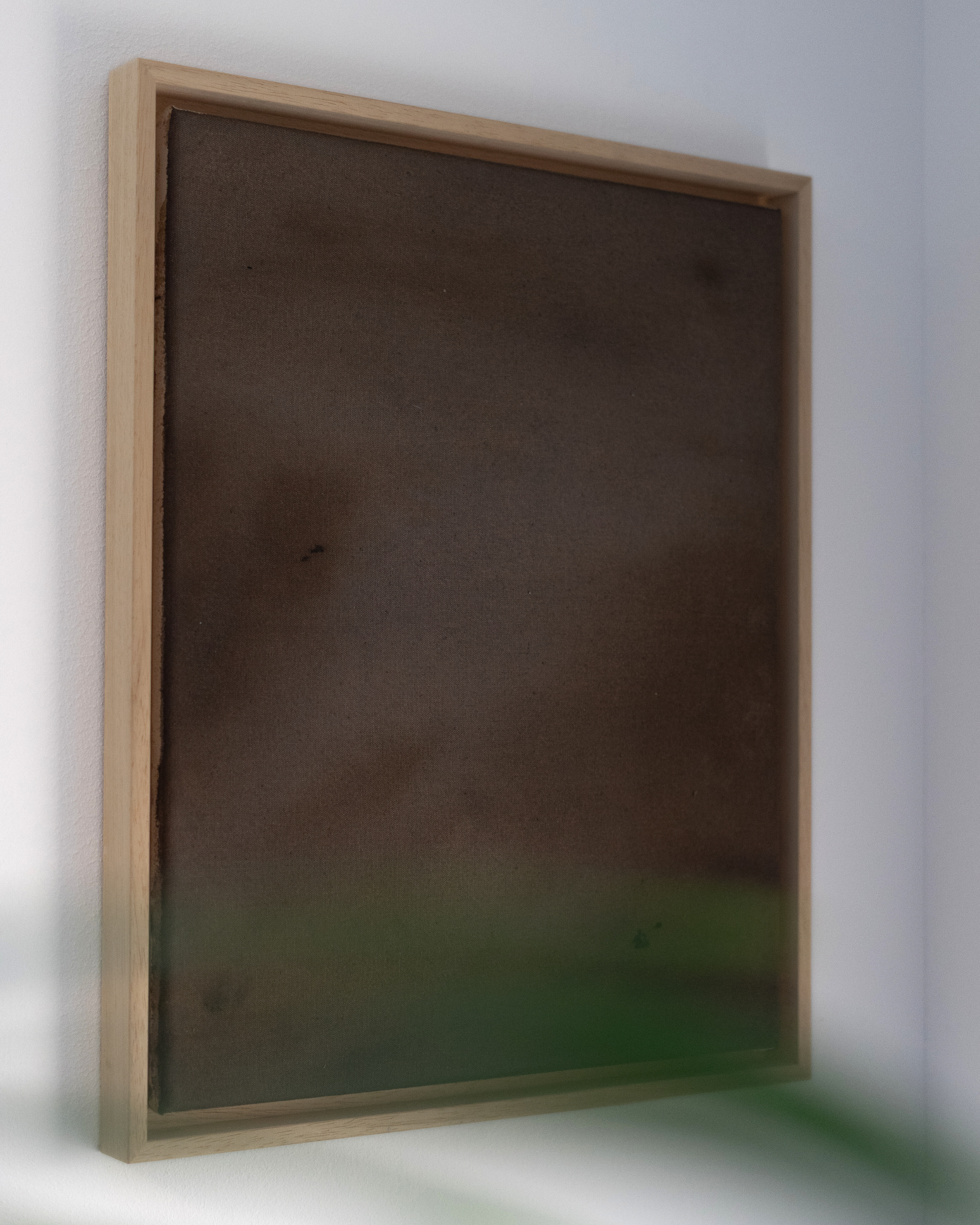 Karrusell _Verwurzelt (2).png