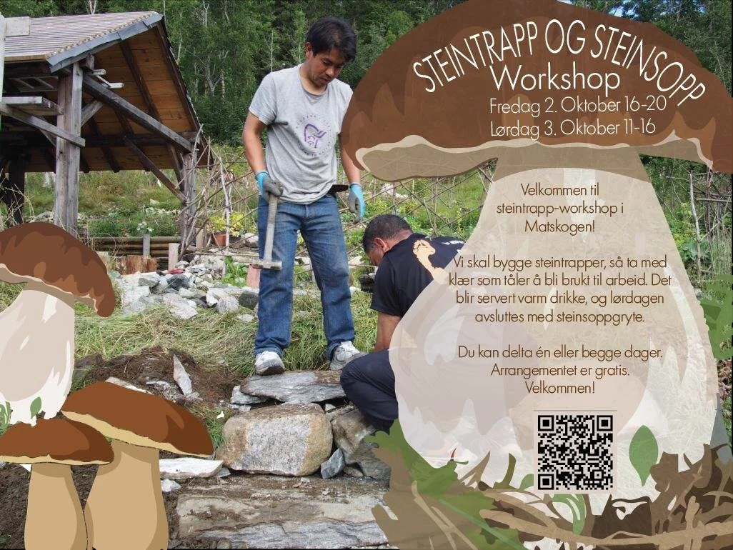 Steintrapp og steinsopp
