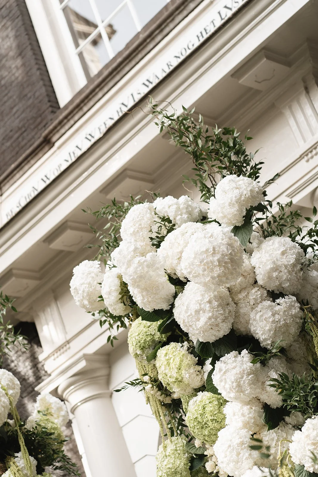 Captured by Lot-317.jpg