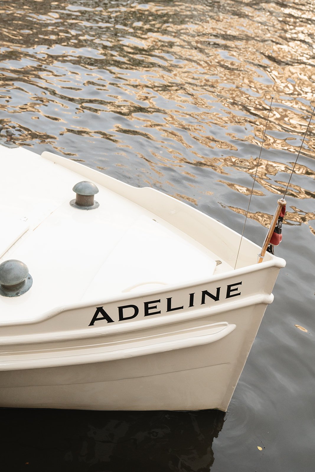 Captured by Lot-591.jpg