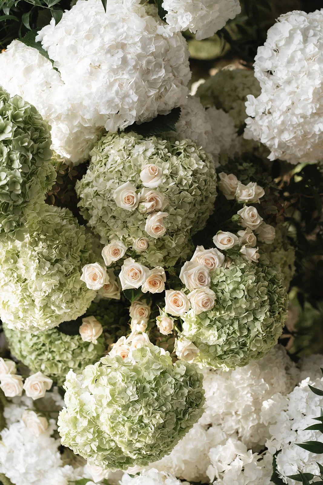 Captured by Lot-318.jpg