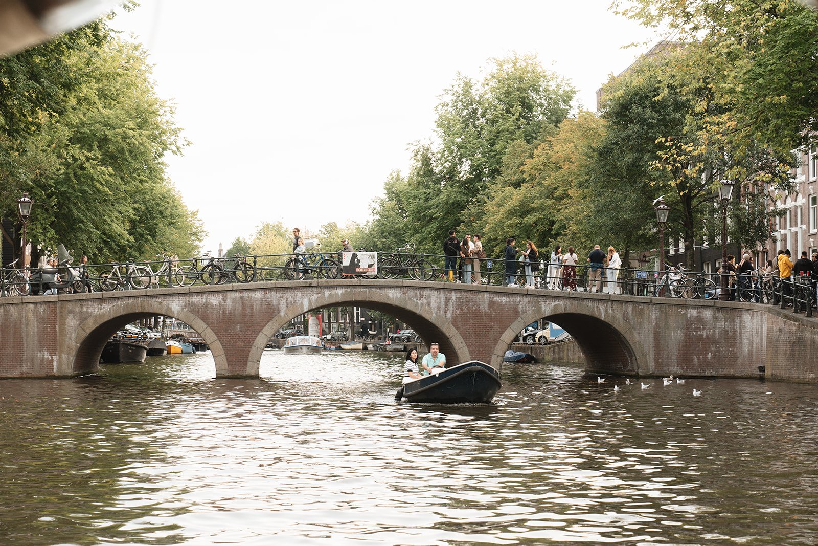 Captured by Lot-578.jpg