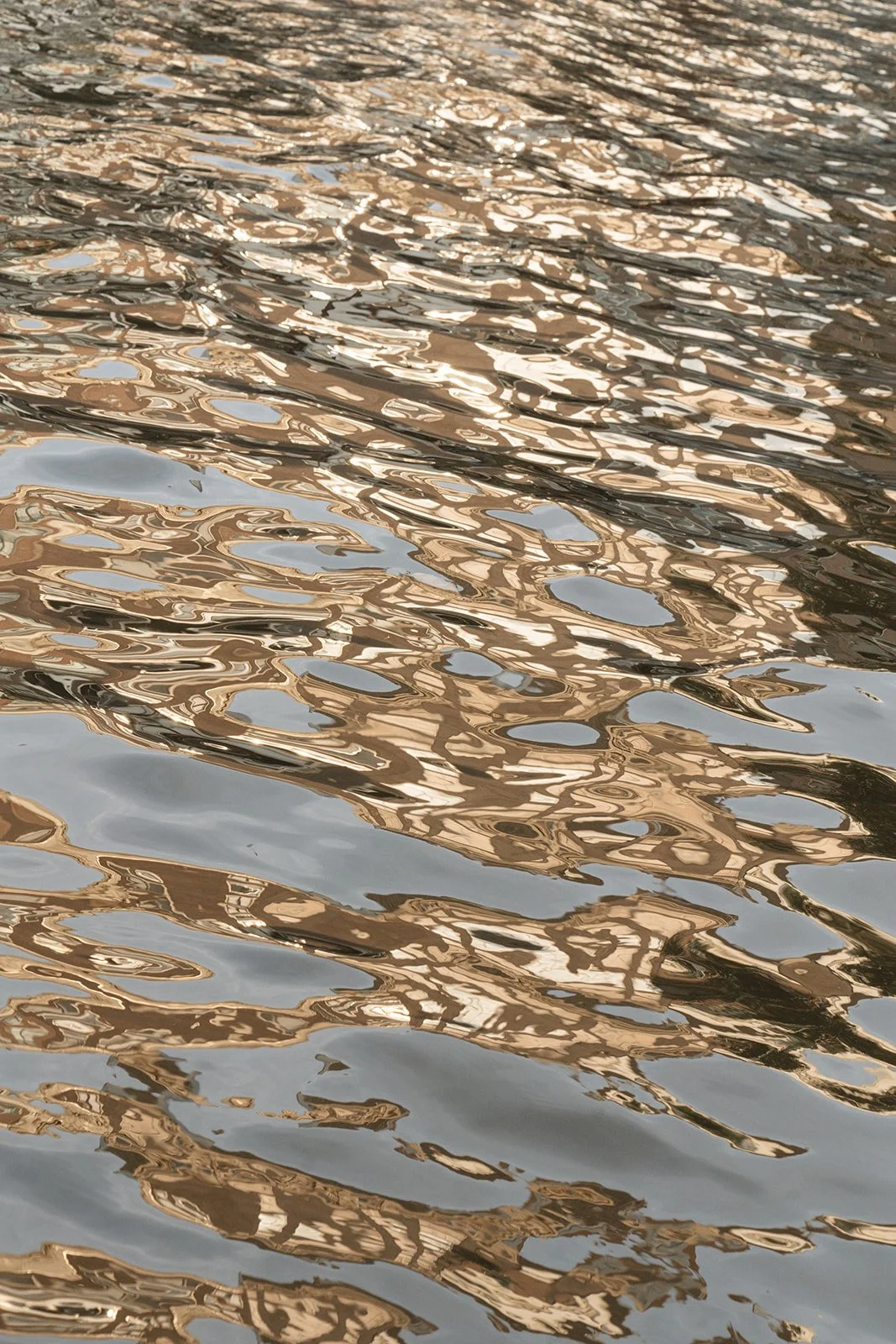 Captured by Lot-588.jpg