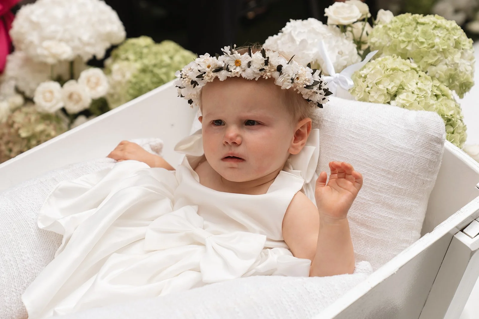 Captured by Lot-350.jpg