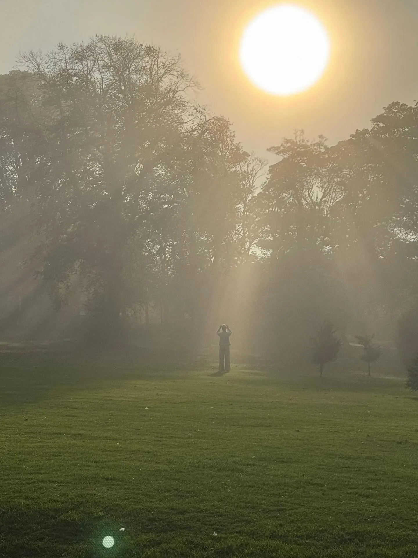 Are you being who you are here to be? 

How are you leading your life? 

In this time nearing renewal it&rsquo;s our gift to accelerate our mission for this lifetime. We are in the final months of our 9 year of endings, the unfolding of what no longe