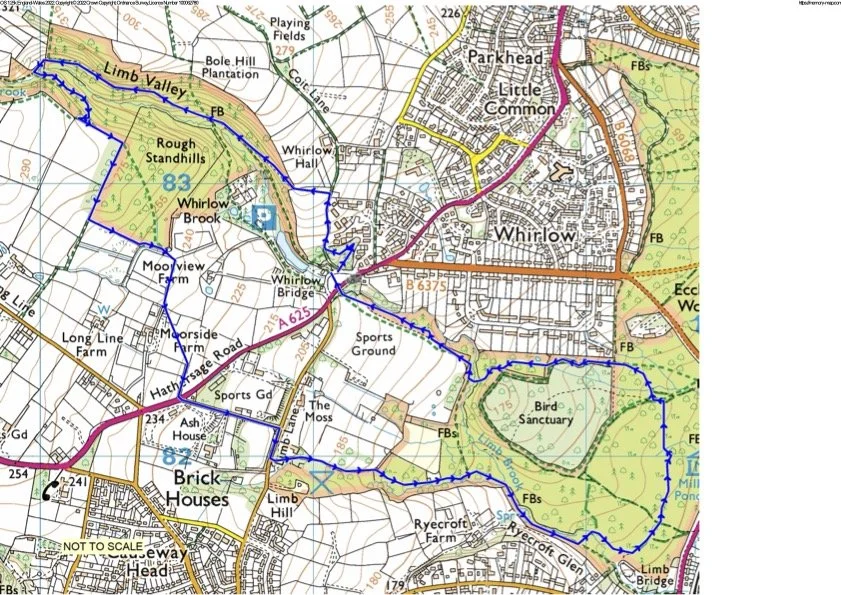 U3A Limb Valley Eccy Woods.jpg