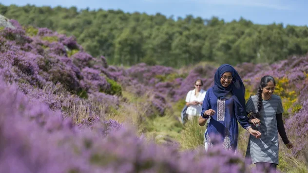 longshaw-meadow-walk-derbyshire-1294805.jpg.webp