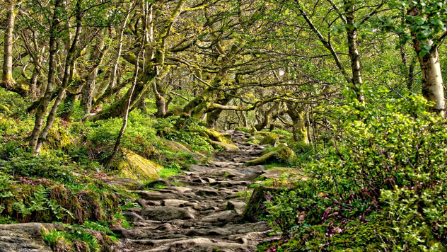 padley-gorge.png.webp