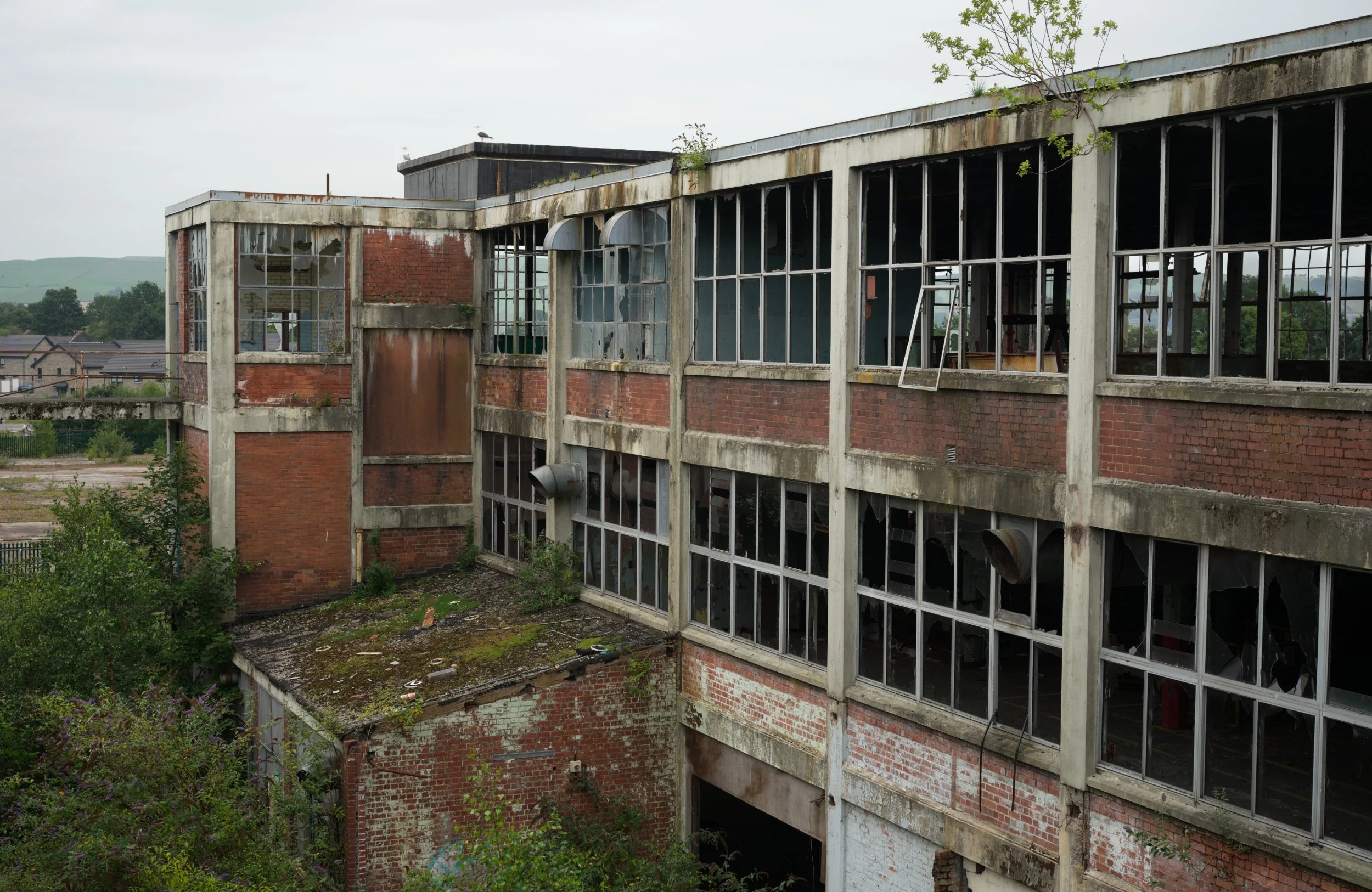 Urb 07.25 - 13.jpg