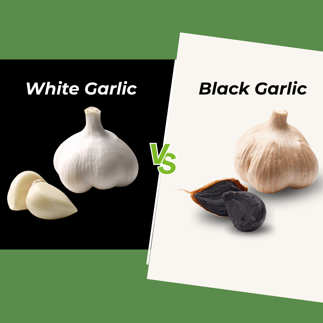White Garlic vs Black Garlic: What's the Difference?