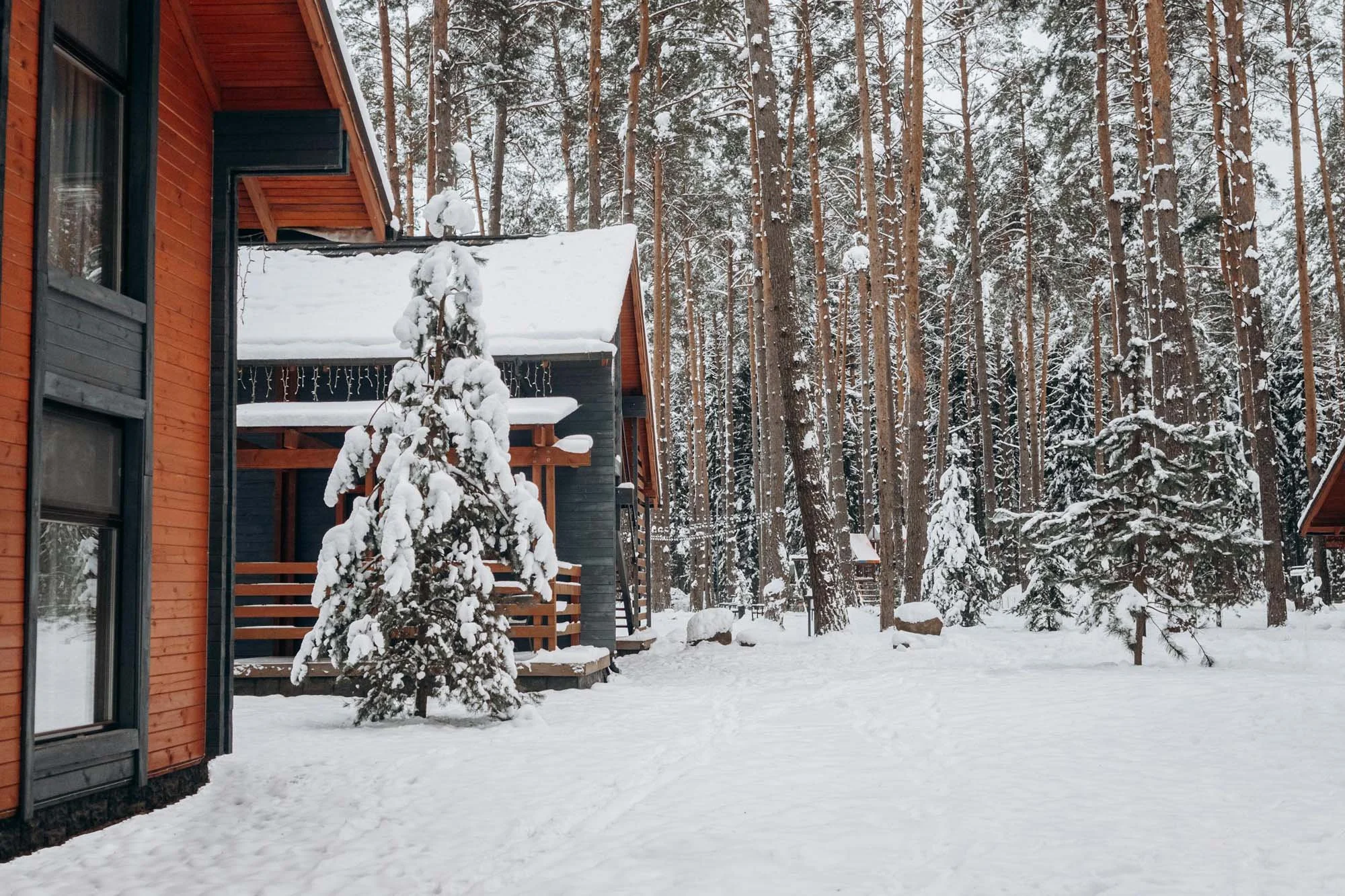 Laforest Design.06.jpg