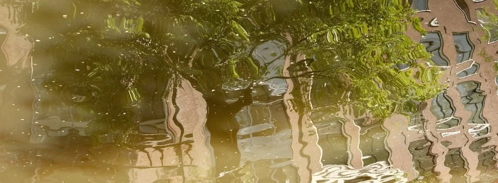 Reflexie van een gebouw en bomen op het water.