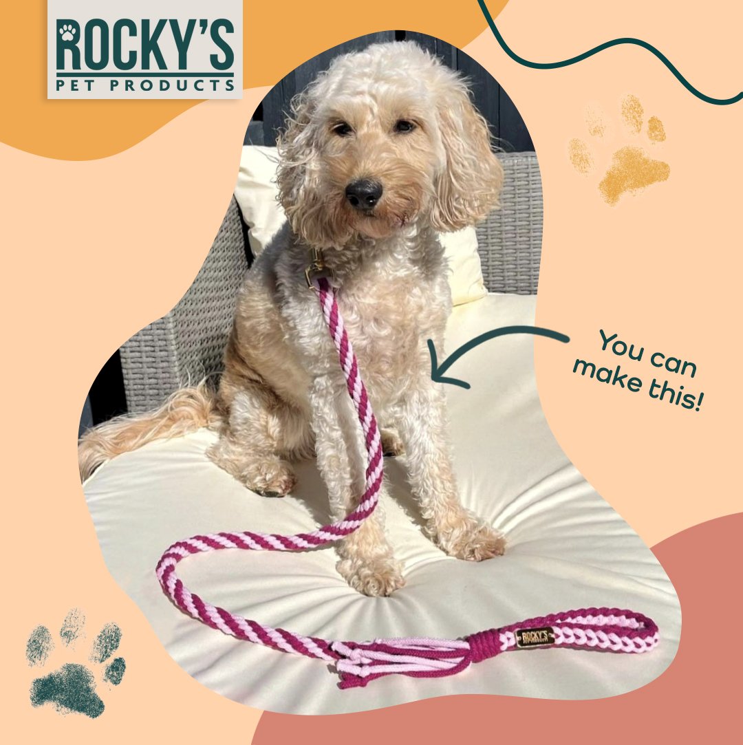 Make-your-own-dog-lead-bella.jpg