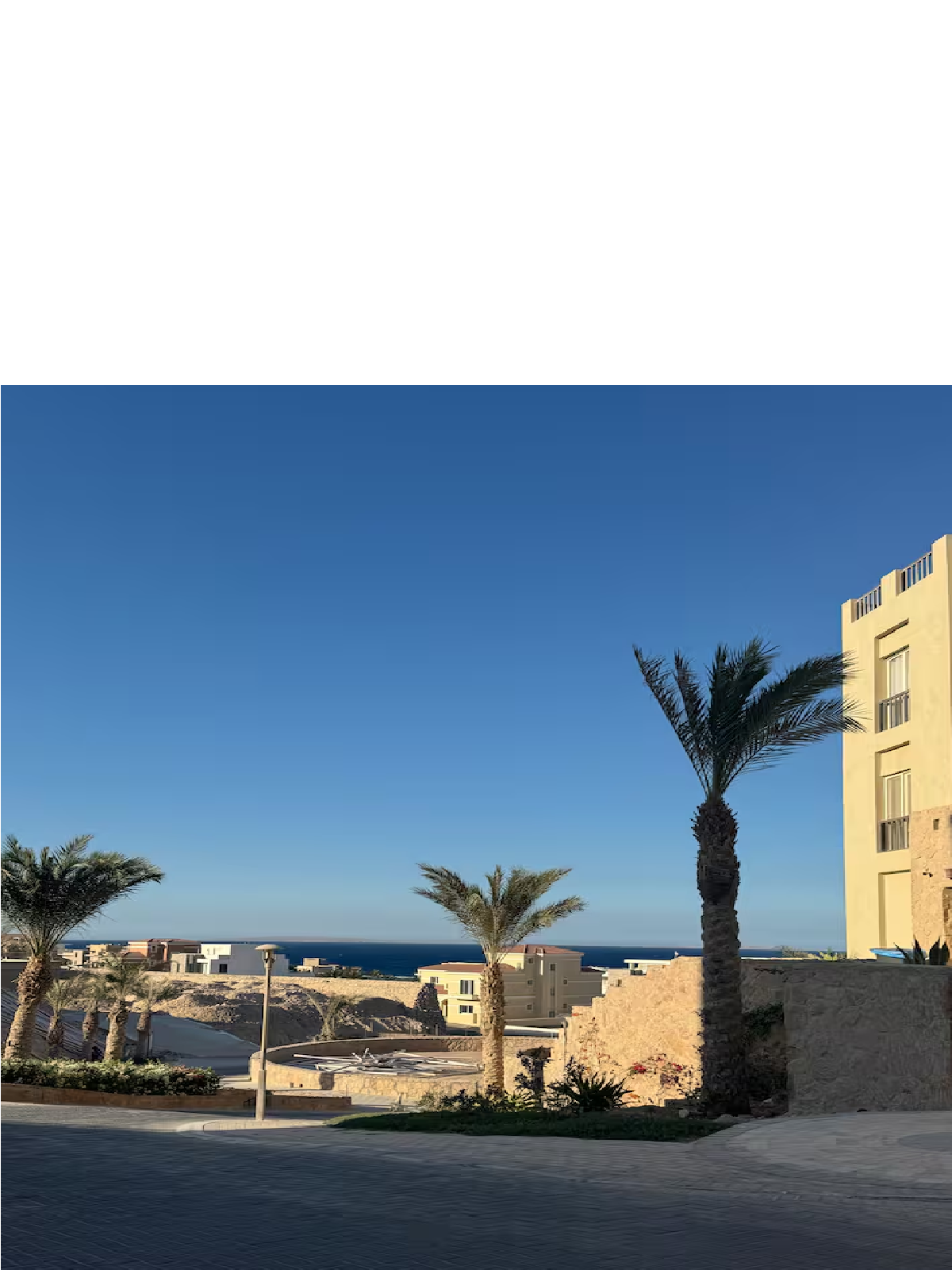 ali-host Sahl Hasheesh2.png
