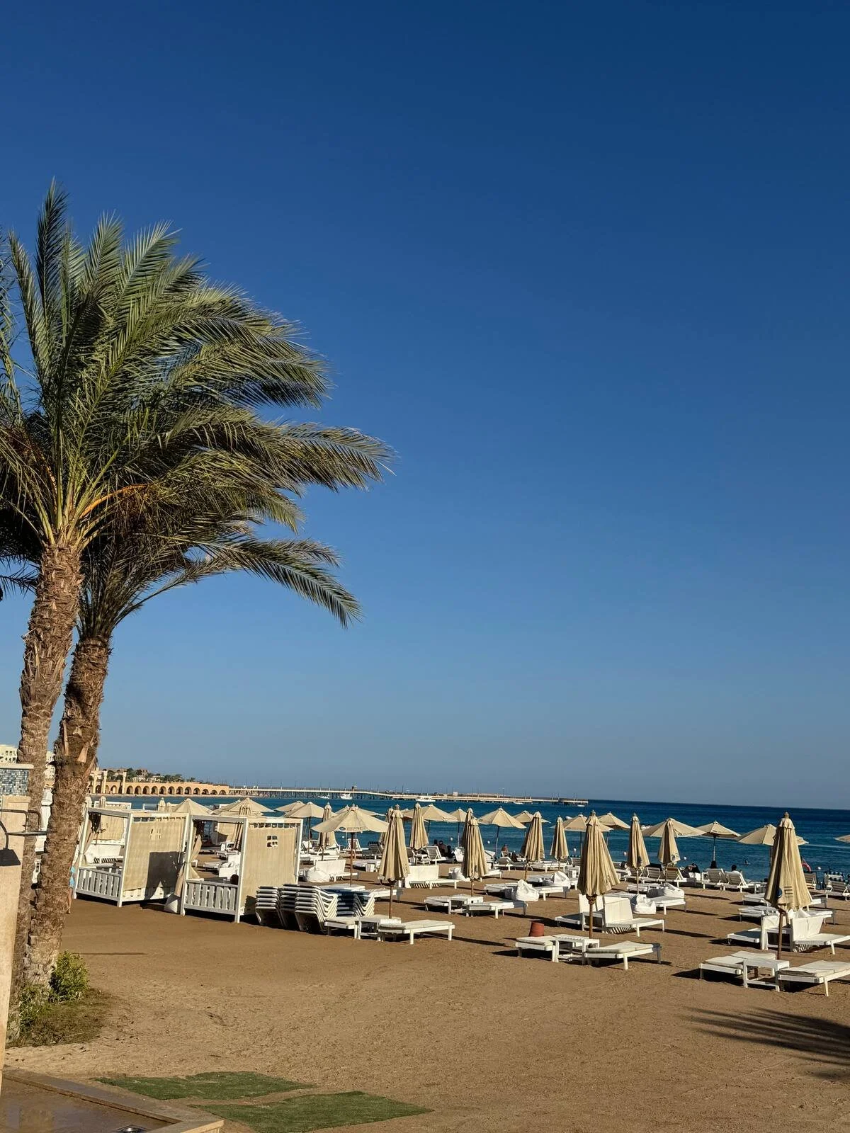 ali-host Azzurra Sahl Hasheesh sight 2.jpeg