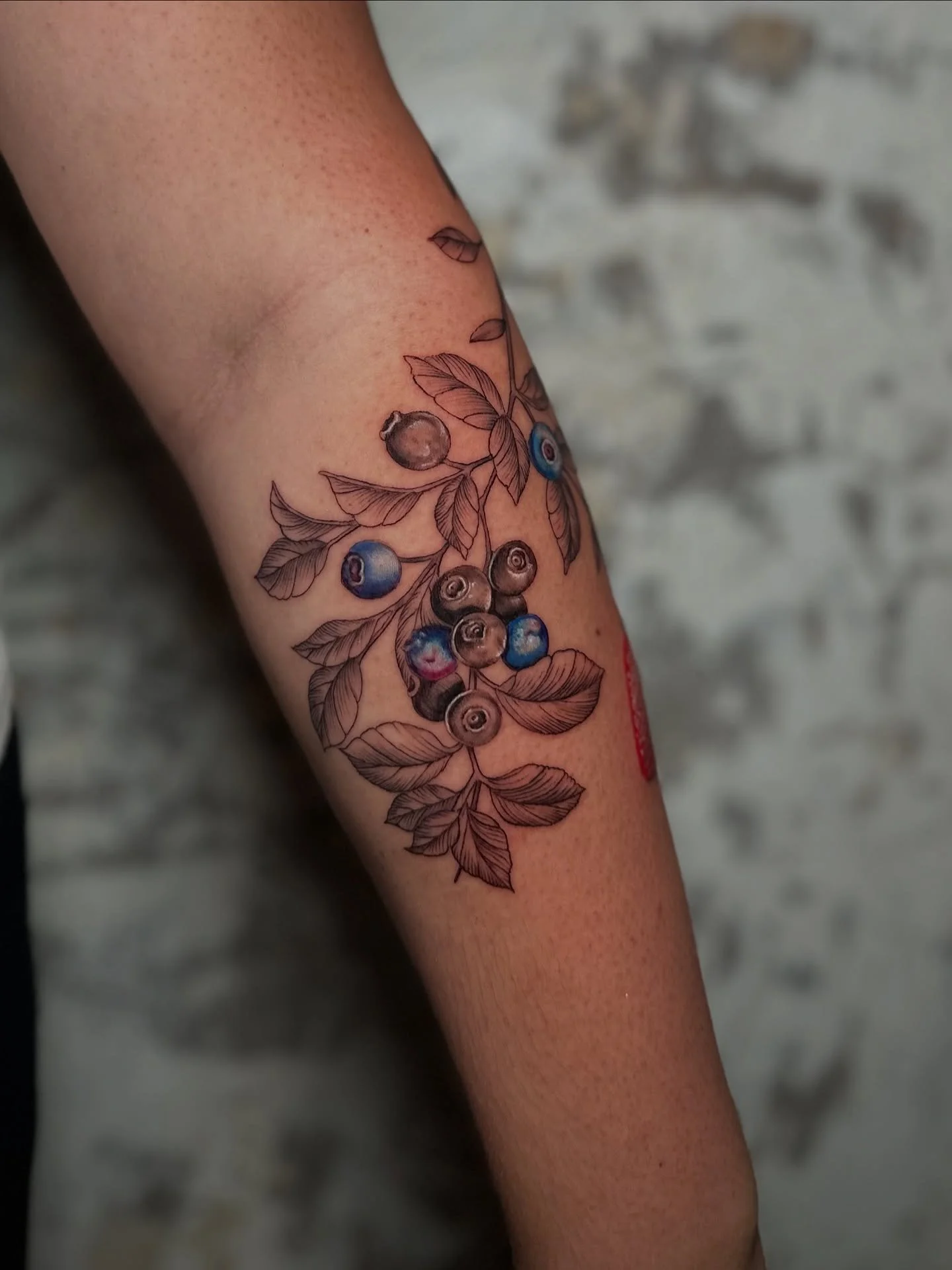 Stunning blueberry branch tattoo with a pop of color. This tattoo is a hybrid approach, it blends fine line leaves with painterly application to the berries. Stay tuned for the awesome strawberry we did! Thanks for your trust, Krissy! 

#finelinetatt
