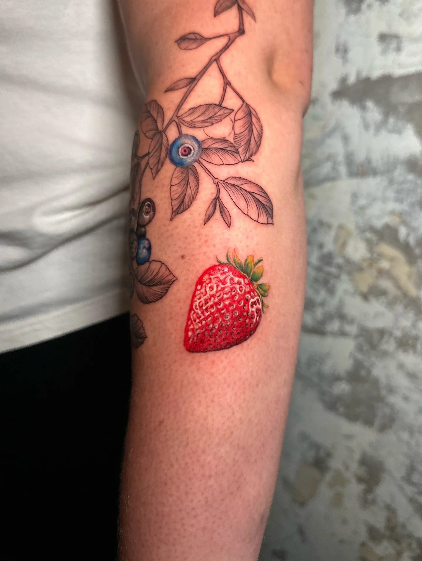 So much fun and so cute! Along with Krissy&rsquo;s blueberries, we also did a little realistic strawberry on her arm. Thank you for your trust!

#colormicrorealism #colortattoos #microrealism #finelinetattooartist #westpalmbeachfl #palmbeachstyle #pa