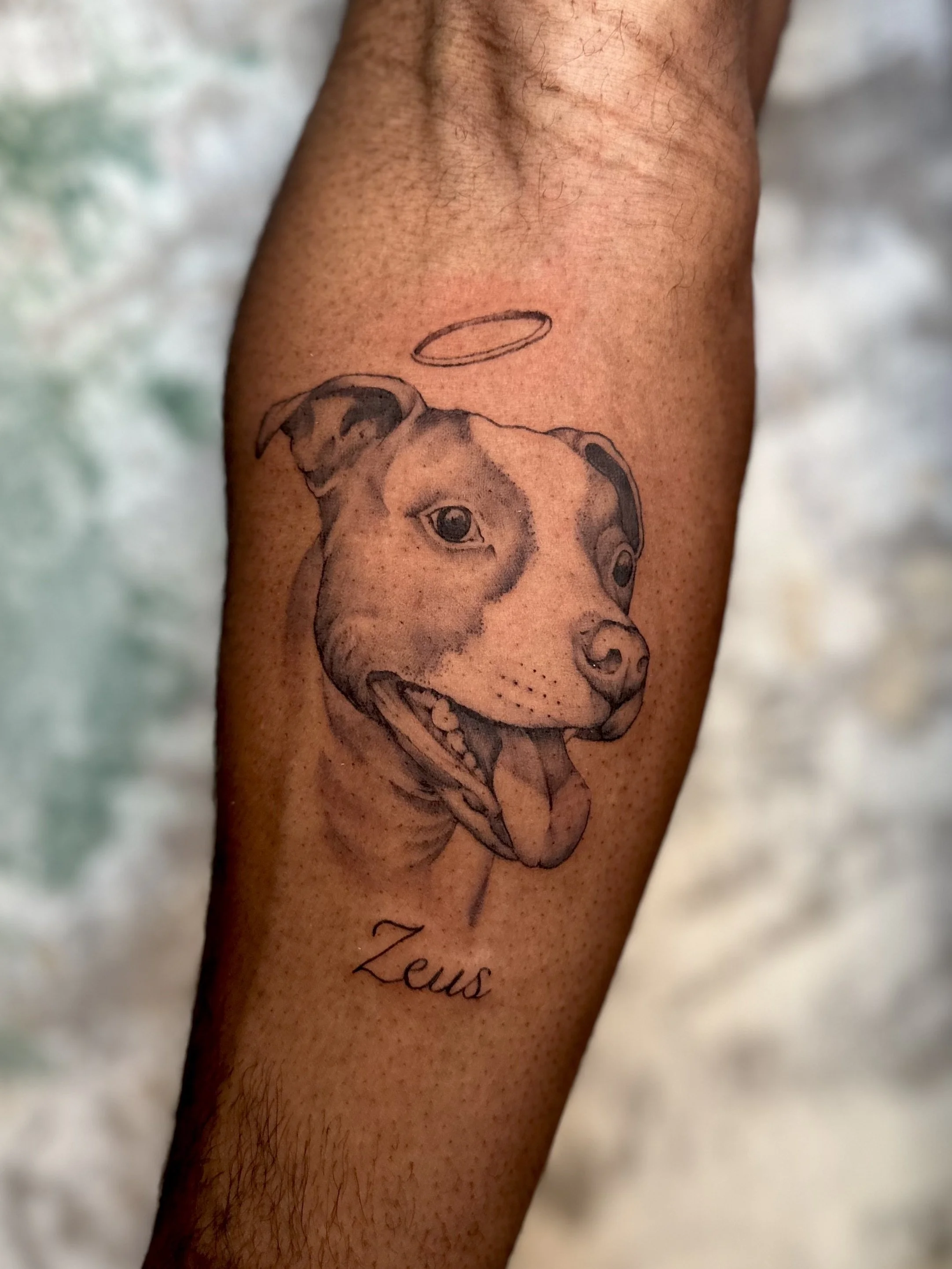 west-palm-beach-black-and-grey-pet-portrait-tattoo.jpg