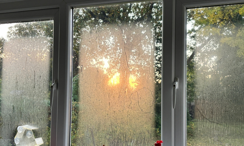 How to Stop Condensation on Windows Overnight