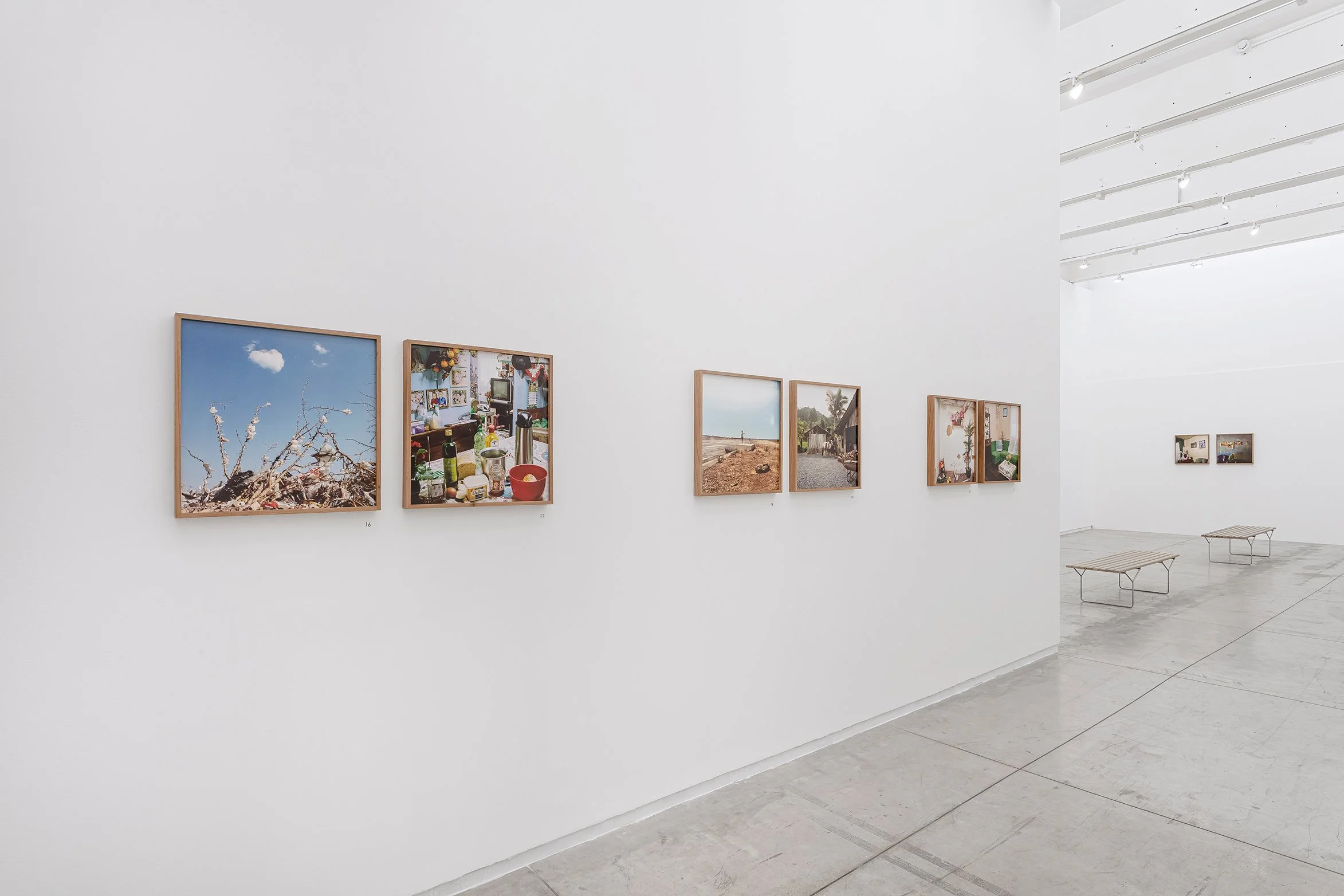 _MG_9642-copy.jpg