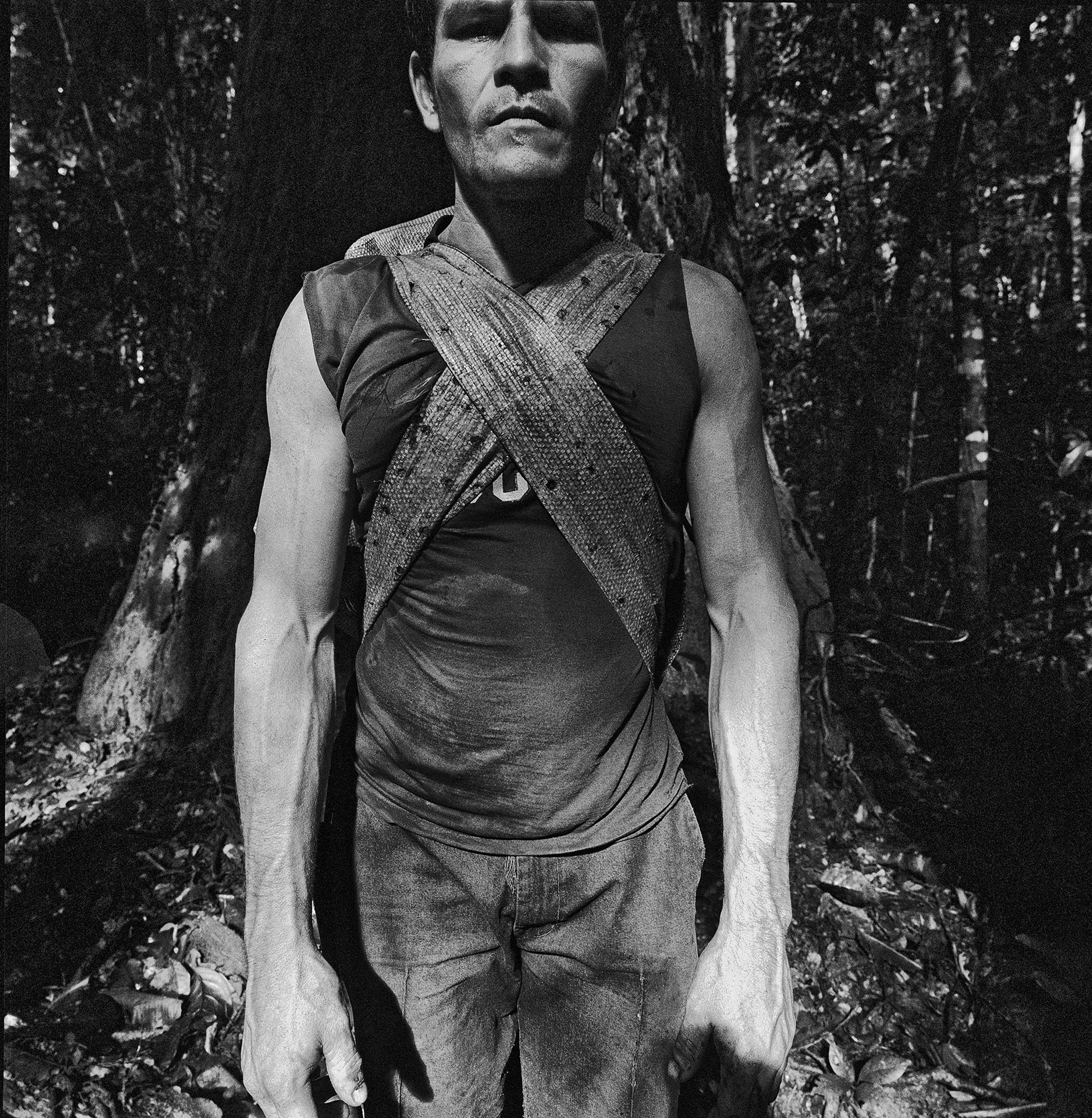 Série Amazônia | Manoel Raimundo Santos (Alemão), castanhal Fé em
Deus, rio Iratapuru, AP, 2011, pigmento mineral sobre papel de algodão Hahnemühle Museum Etching, 40 x 40 cm