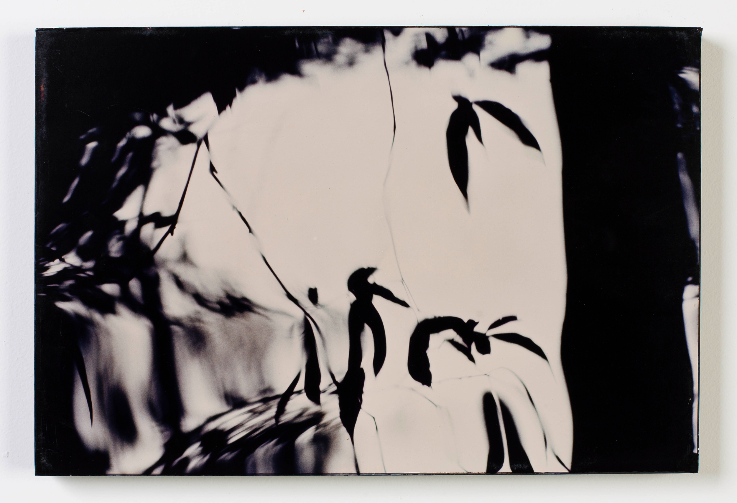 Sem título, 1985 | ampliação fotográfica analógica | ed. única | obra apresentada na 18ª Bienal de São Paulo no ano de 1985
ampliação sob supervisão de Thomaz Farkas - Laboratório Fotoptica